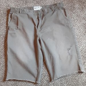 Cargo Shorts/born fly Anytown U.S.A.